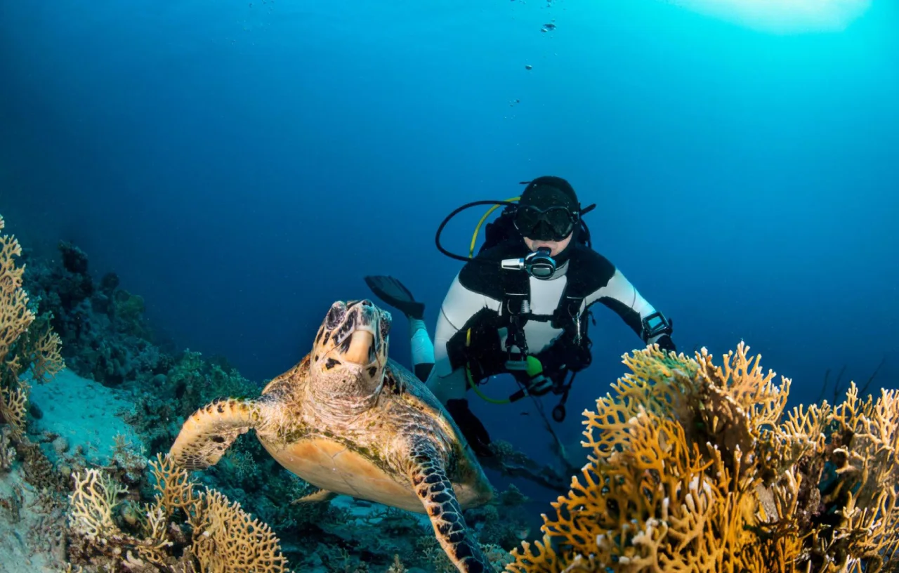A snorkeler exploring the clear blue water of the Red Sea